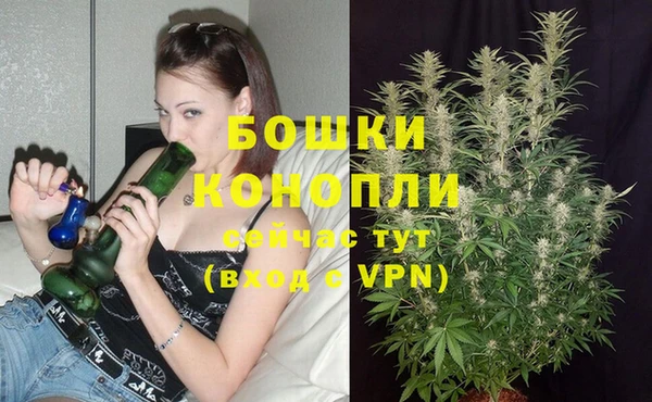 каннабис Алексин