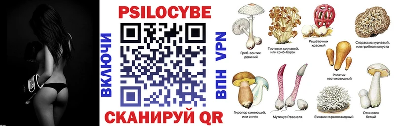 что такое   Краснообск  Псилоцибиновые грибы мухоморы 